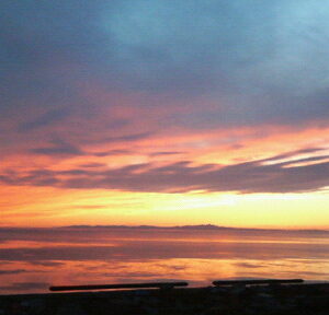 ポートフォリオ７