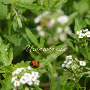 ポートフォリオ８