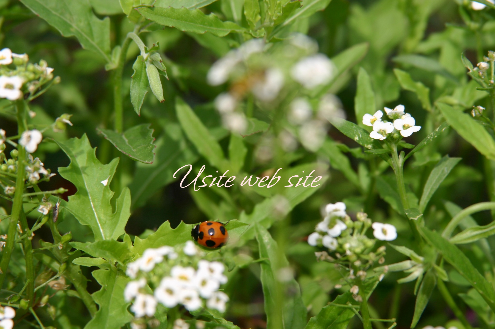 ポートフォリオ8